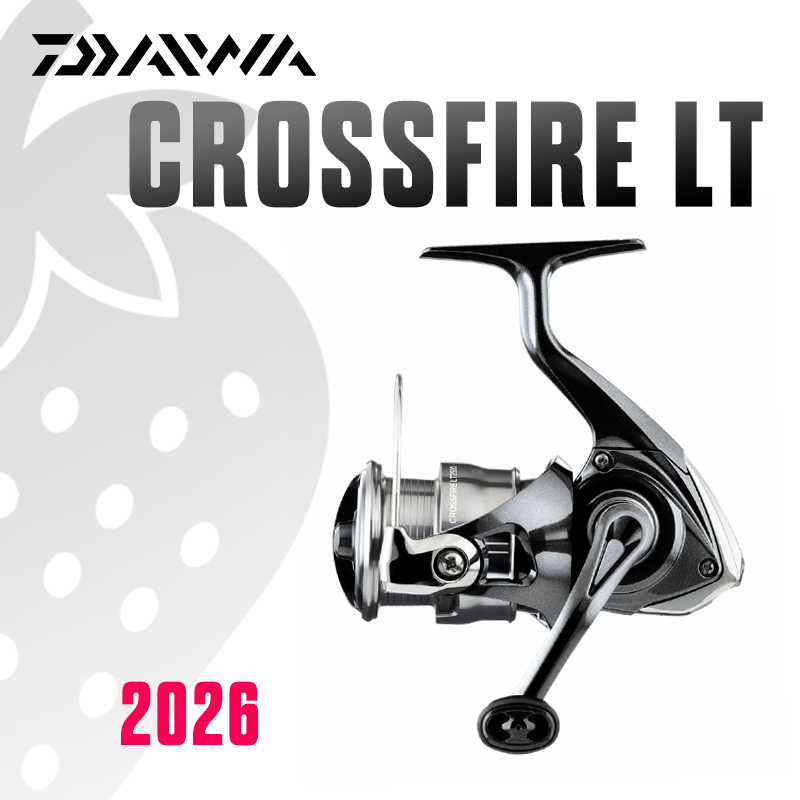 DAIWA 2026 CROSSFIRE LT Fishin - đánh giá và giá Daiwa Reel Bg